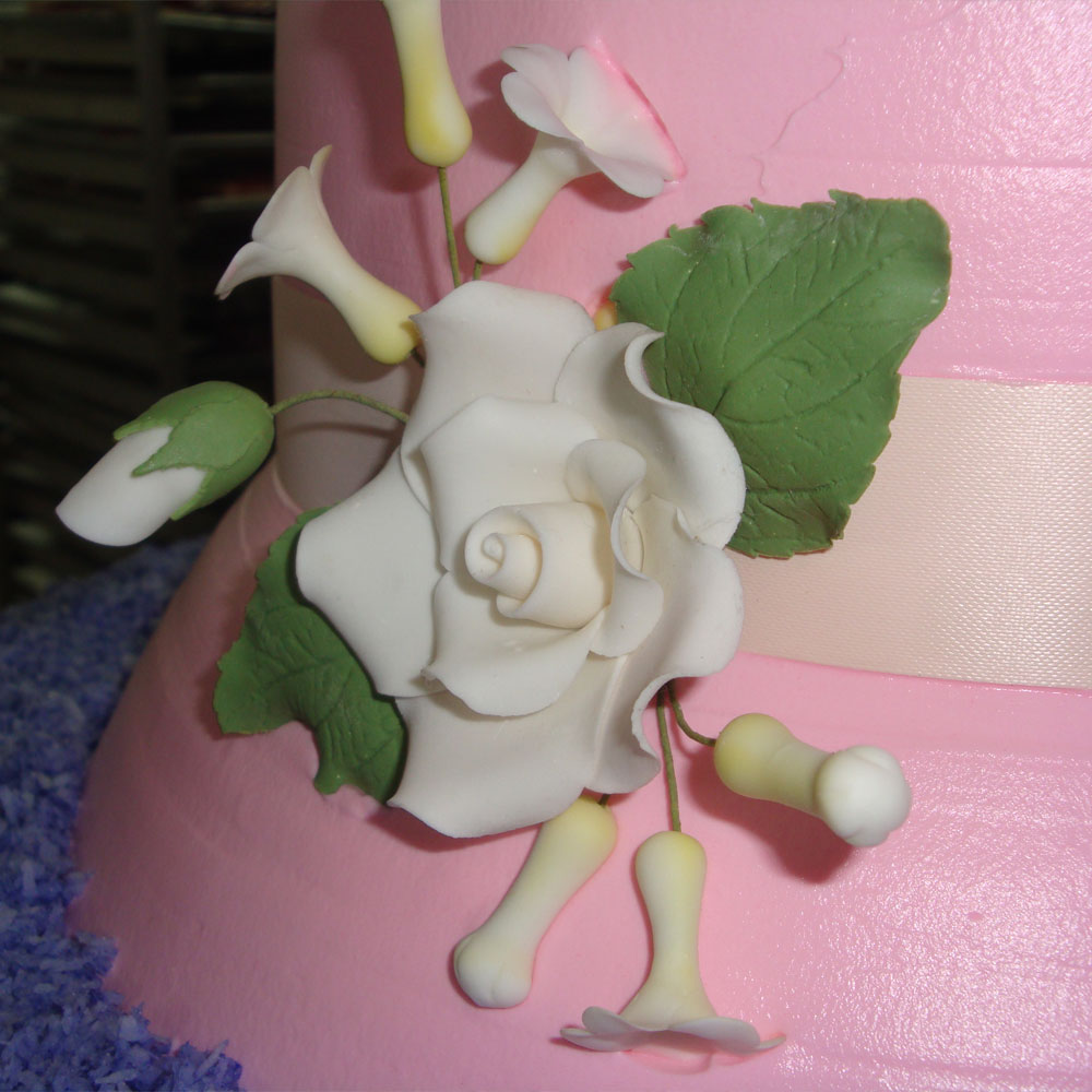 swiss-pastry-shop-bahamas-specialty-cake-01